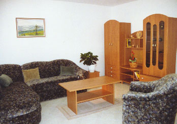 Pok&oacute;j dzienny - Apartament Smokowiec