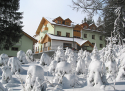 Villa Siesta